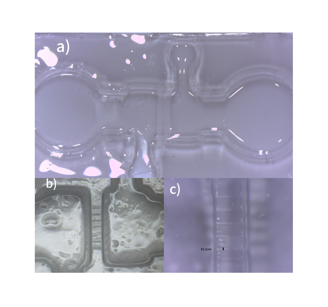 Hydrogel Microfluidics for Neuropathic Pain
